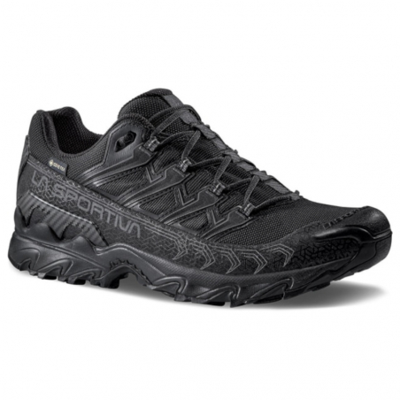 Ultra Raptor II GTX Homme