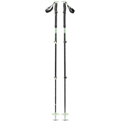 Expedition 3 Ski Poles