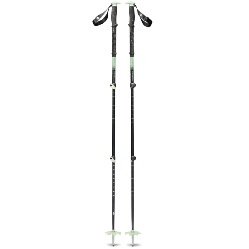 Expedition 3 Ski Poles