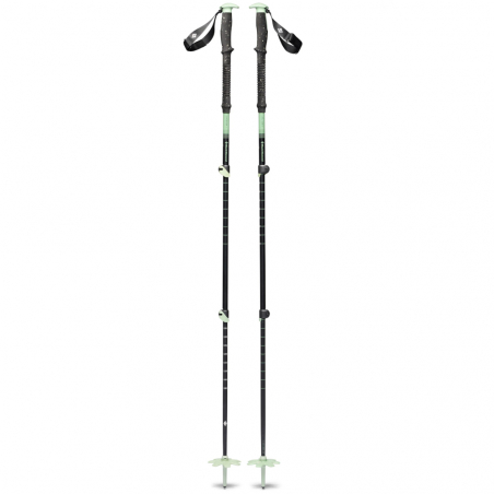 Expedition 3 Ski Poles