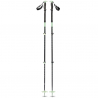 Expedition 3 Ski Poles