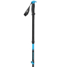 Expedition Ski Poles