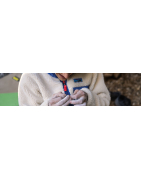 Polaires urbaines & sweatshirts - La Haute Route - Paris